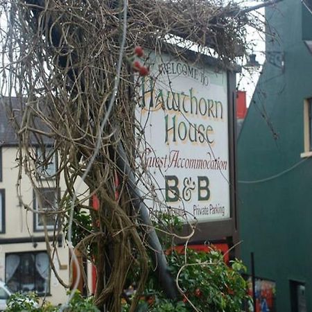 Hawthorn House Guesthouse Kenmare Esterno foto