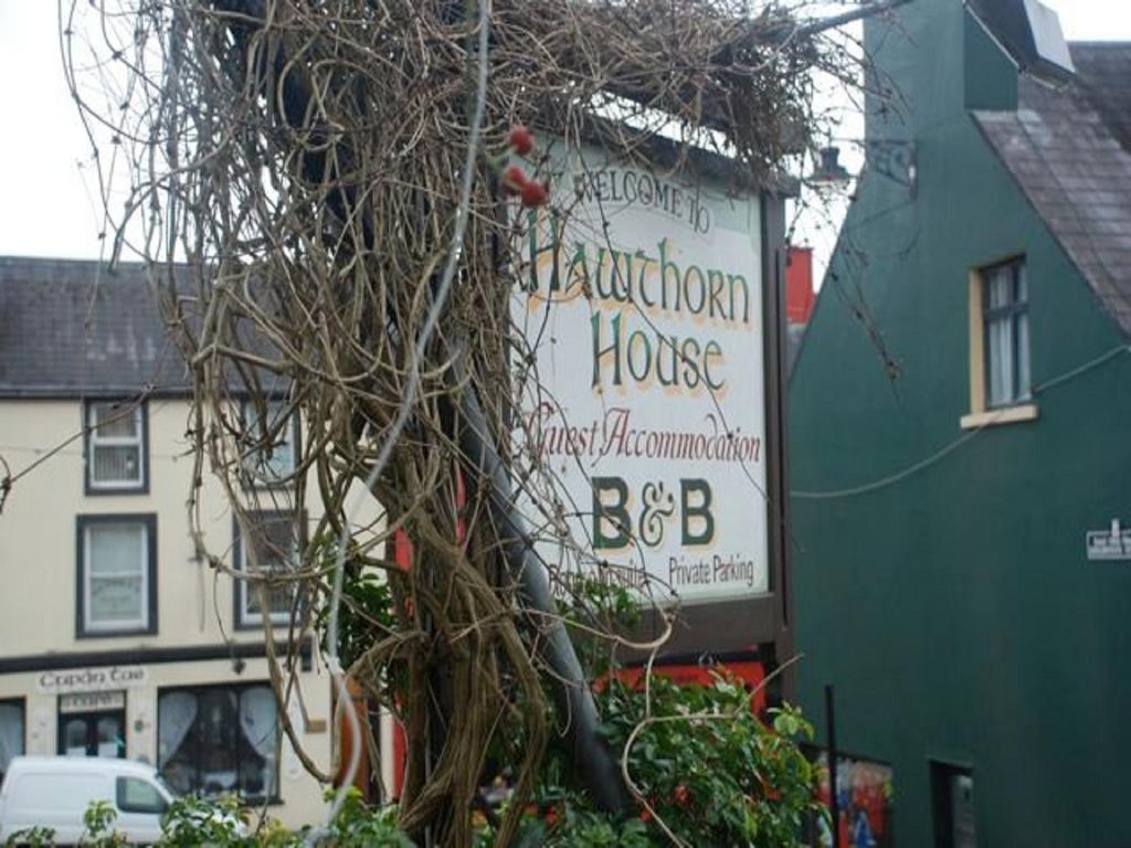 Hawthorn House Guesthouse Kenmare Esterno foto